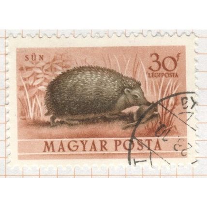 Hungary 1953 - 30f light brown/olive brown - Hedgehog - used