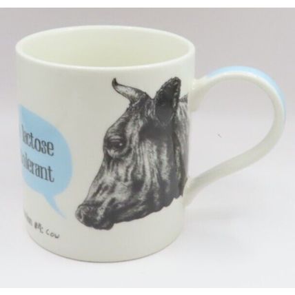 I'm lactose intolerant Mug Confessions of a Cow 9.5 CM Gift Drink Fine China