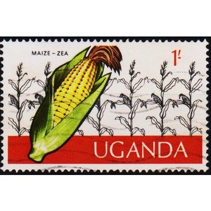 Uganda. 1975 1s S.G.156 Used