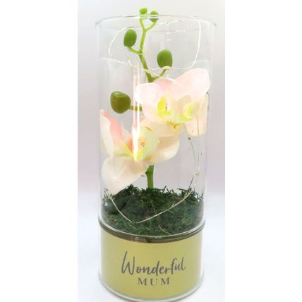 Wonderful Mum LED Tube Light with Faux Pink Flowers Glass LED 20 CM Gift Home