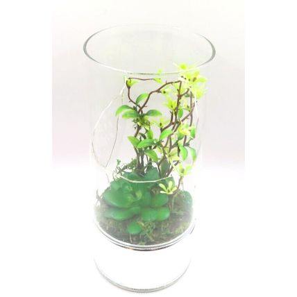 Terrarium with Faux Plants Tube LED Lights Glass LED 20 CM Gift Home Decor