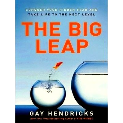 The Big Leap: Conquer Your Hidden Fear and Take Life to the Next Level by Gay He