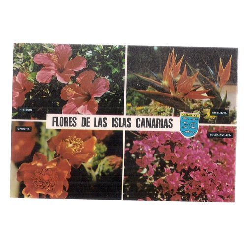 FLOWERS OF CANARY ISLANDS , SPAIN used postcard 1974 postmark #