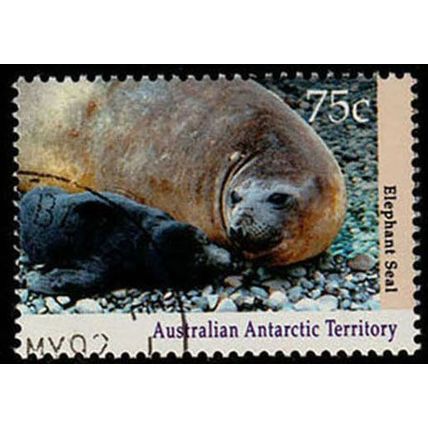 AAT 1992 Wildlife Animals 75c Used Stamp Seals Australian Antarctic Territory
