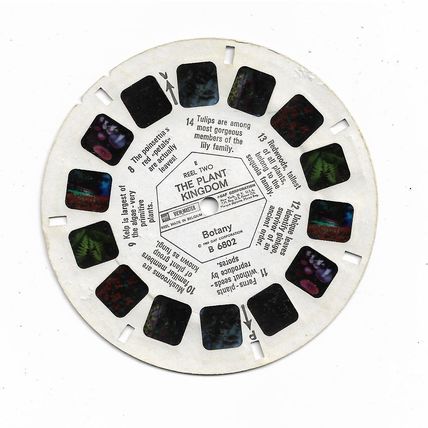 The Plant Kingdom Reel Two - Vintage GAF View-Master Reel B 6802