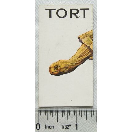 1929 Wills cigarette card Animalloys No. 37
