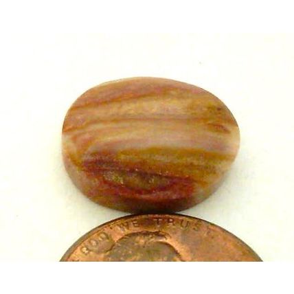 Petrified Wood Freeform Gemstone Cabochon 296