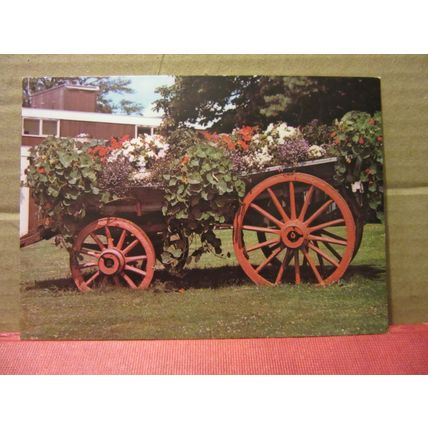 A CART, MENDIP LODGE HOTEL, BATH ROAD, FROME, SOMERSET. unused postcard =