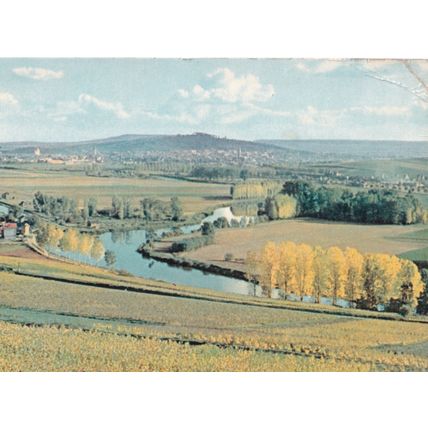 Moet & Chandon Postcard La Marne Vue de nos Vignobles D'Hautville