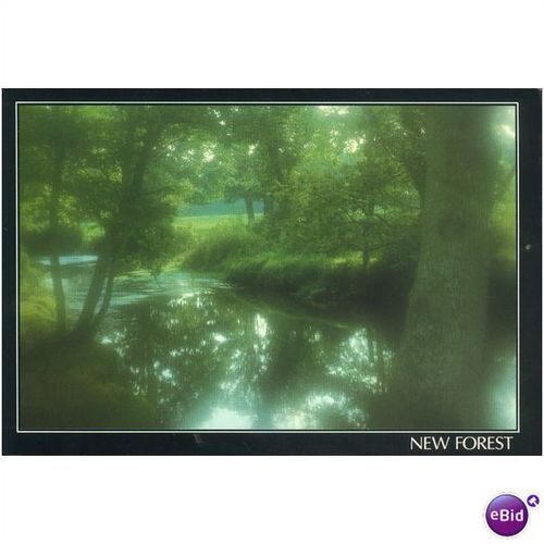 GB Postcard - New Forest - Hampshire, Misty View