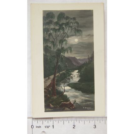 vintage Postcard Borrowdale, The Birches