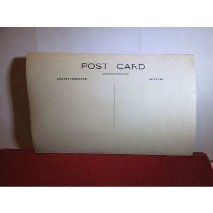 UNKNOWN WOMAN with TWO DOGS antique photograph postcard #