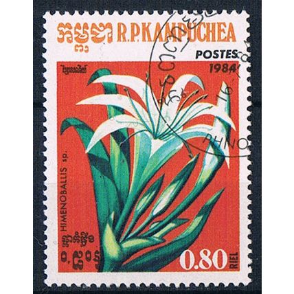 Kampuchea 1984 SG551 ka21 Himenoballis Sp. 80c Used Stamp