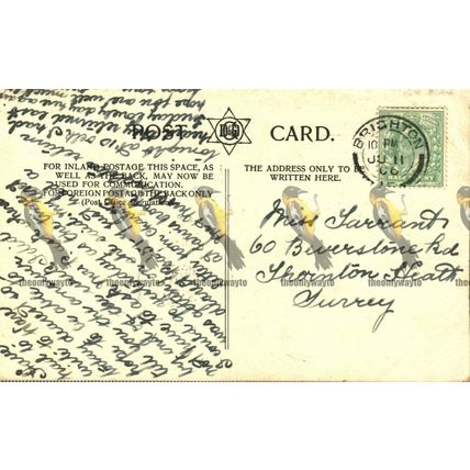 Pier, Worthing, Sussex, DD & G Postcard, 1906