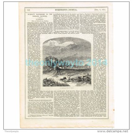 SURREY LANDSCAPE, ENGLAND, MAGAZINE ILLUSTRATION/PRINT, c1859
