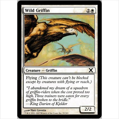 Magic the Gathering - Tenth Edition - #59/383 - Wild Griffin