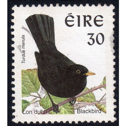 1997 IRELAND Sg1038 ac p.14 30c Blackbird fine used (G116)