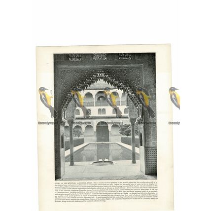 Court of the Myrtles, Alhambra, Granada, Spain, Book Illustration (Print), 1899