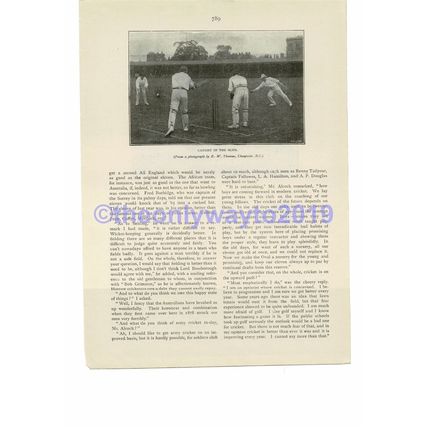 Caught in the Slips, Victorian Cricket, Book Illustration (Print), c1893