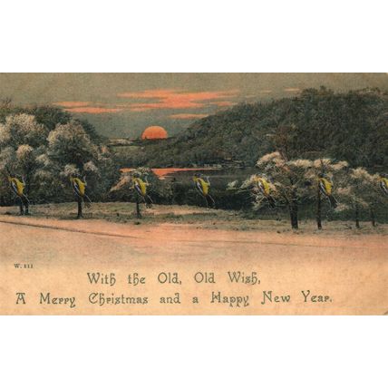 With The Old Old Wish, A Merry Christmas, W. 111 Rare Peacock Postcard, 1900s