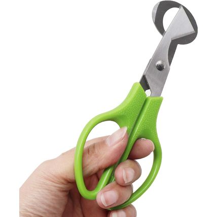 Quail Egg Cutter Scissors Stainless Steel Pigeon Bird Egg Opener Pack of 12