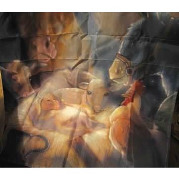 BEAUTIFUL LENA LIU ANGEL OF LIGHT & WHITE DOVES TAPESTRY THROW BLANKET 50" X 60"