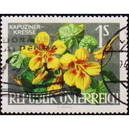 Austria. 1964 1s S.G.1410 Used