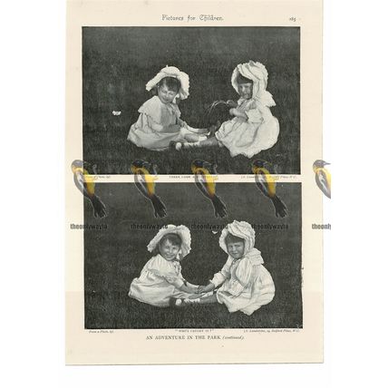 Photo Pictures (2) by Adrian Lundstrom, Book Illustration (Print), 1895