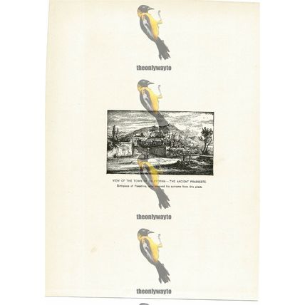 Palestrina (Praeneste), His Birth Place, Book Illustration (Print), c1892