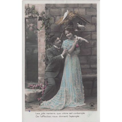 Man & Glamour Lady Caressing Bird at House Nest Romance Secret Code Old Postcard