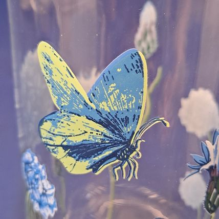 NEW 4 Royal Norfolk BUTTERFLY GLASSES Blue Flowers Tumblers Drink 16 oz