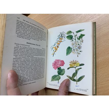 1967 THE BOOK OF FLOWERING TREES AND SHRUBS ILLUSTRATED HARDBACK BOOK (P3)
