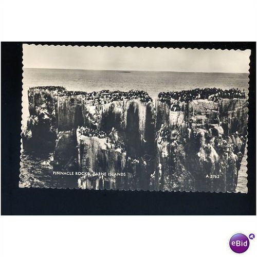 Northumberland FARNE ISLANDS Pinnacle Rocks Postcard by Valentine (A 5762)