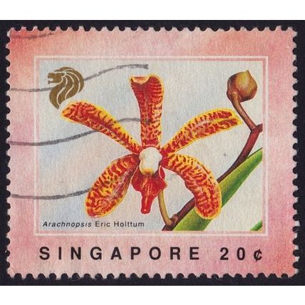 SINGAPORE 1991 Orchids Arachnopsis Eric Holttum 20c Sc#602- USED @C050