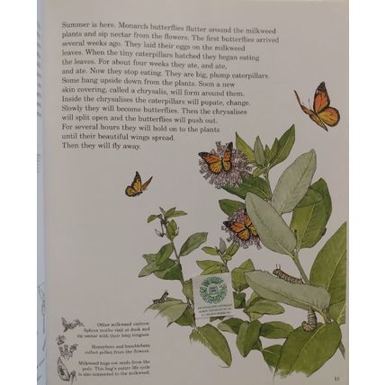 NATURE IN THE NEIGHBORHOOD by GORDON MORRISON SIGNED CHILDRENS HCDJ 1st EDITION