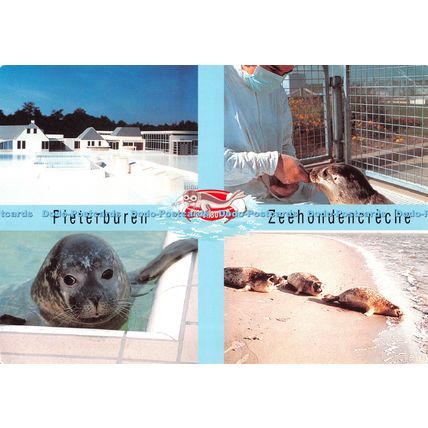 D100454 Pieterburen. Zeehondencreche. De Poel. Grafisch Bedrijf Letsch B. V. Mul