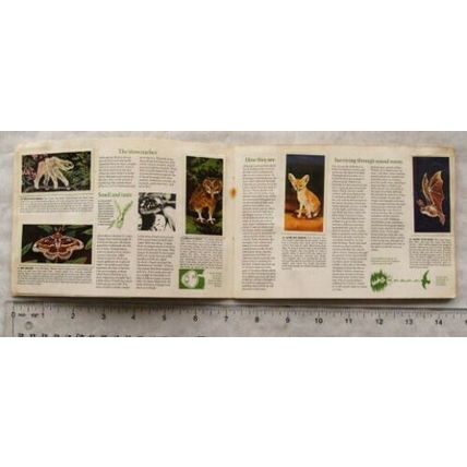 1976 Complete set 50 Brooke Bond Wonders of Wildlife in album