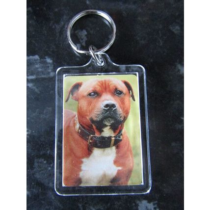 DOG BREED KEY RINGS QUALITY ACRYLIC DOUBLE SIDED PHOTO KEY RINGS 33 BREEDS