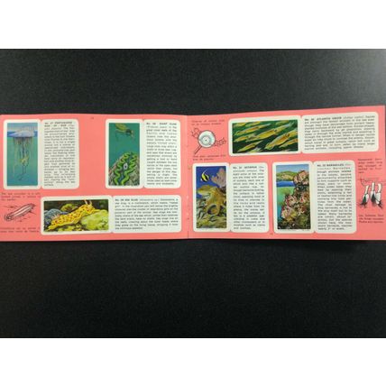 1971 Brooke Bond Album 14 Red Rose Tea 48 Card Album Exploring the Ocean MINT #2