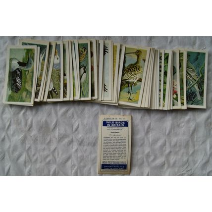 Complete set 50 Brooke Bond Wild Birds in Britain