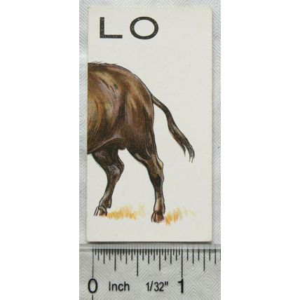 1929 Wills cigarette card Animalloys No. 12