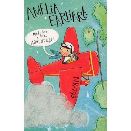 Amelia Aerhart Aviation Pilot Plane Book Author Painting Postcard
