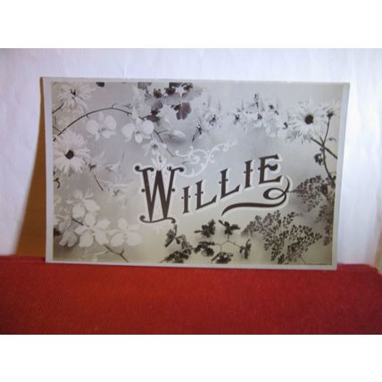 'WILLIE' personalised greetings card unused antique postcard RP A & G Taylor /