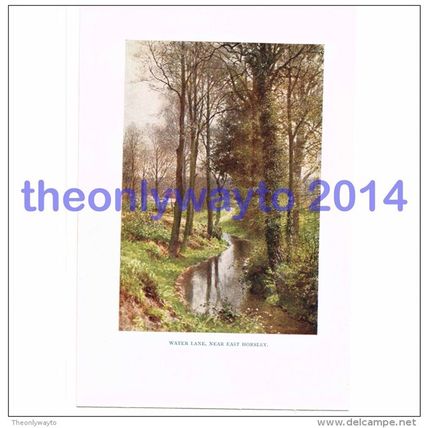 Water Lane, near East Horsley, Surrey, England, Book Illustration (Print), 1922