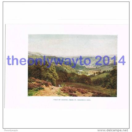 Vale of Albury, from St Marthas Hill, Surrey, England, Book Illustration (Print)