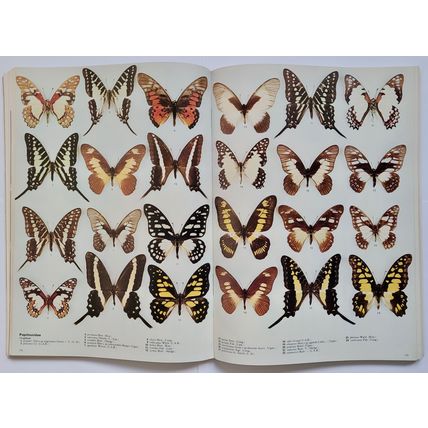 The Illustrated Encyclopedia of the Butterfly World in Colour. Paul Smart