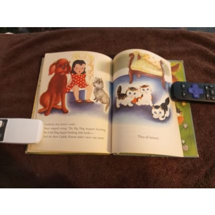 Wonder Book The Hide And Seek Duck By Irma Wilde 1952 Very Good Shape