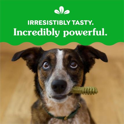 Greenies Original Regular Natural Dental Care Dog Treats, 54 Oz. Pack (54 Treats