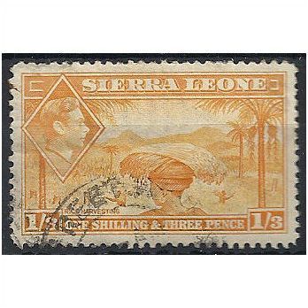 Sierra Leone 1944 SG196a 1/3d Yellow-Orange Good/Fine Used . ..