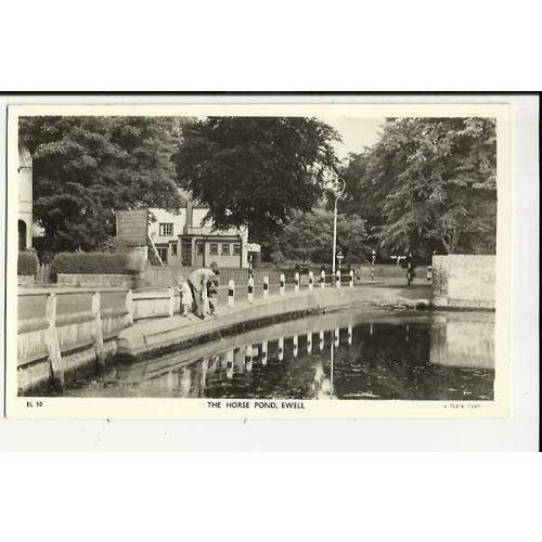Surrey EWELL Horse Pond & Spring Hotel Postcard by Tuck (EL.10)